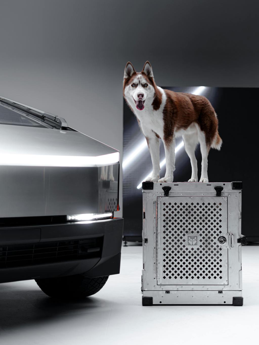 Aluminum vs. Steel Dog Crates: Which One is&nbsp;Better?