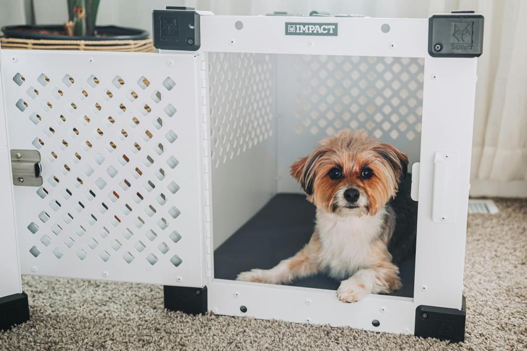 Aluminum Dog Crates: Built for Strength, Designed for&nbsp;Comfort