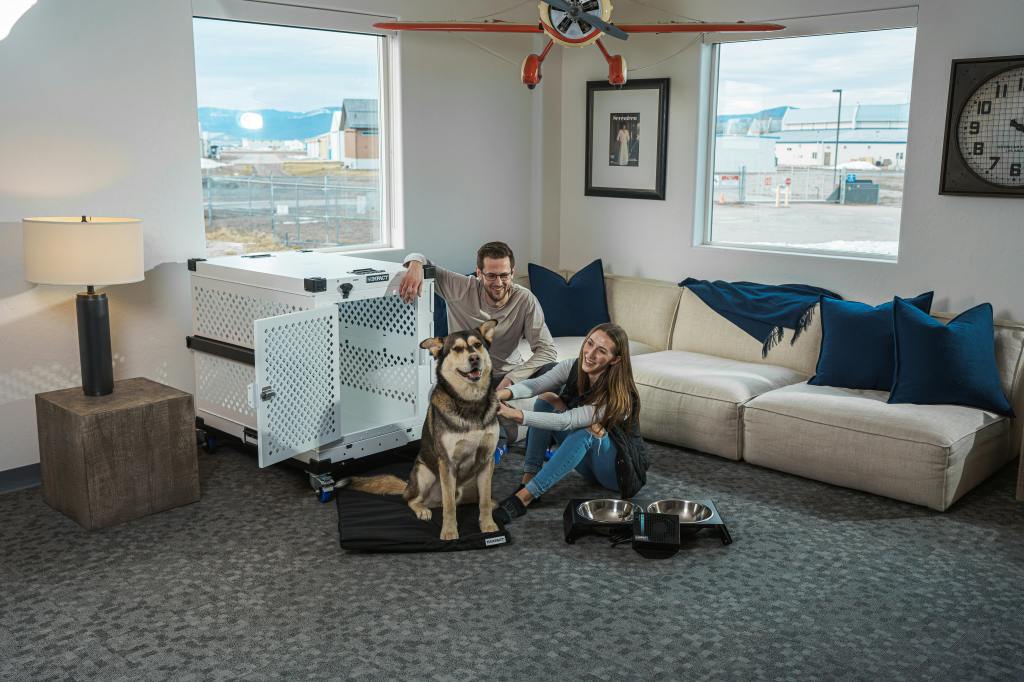 How to Customize Your Aluminum Dog Crate for Maximum&nbsp;Comfort