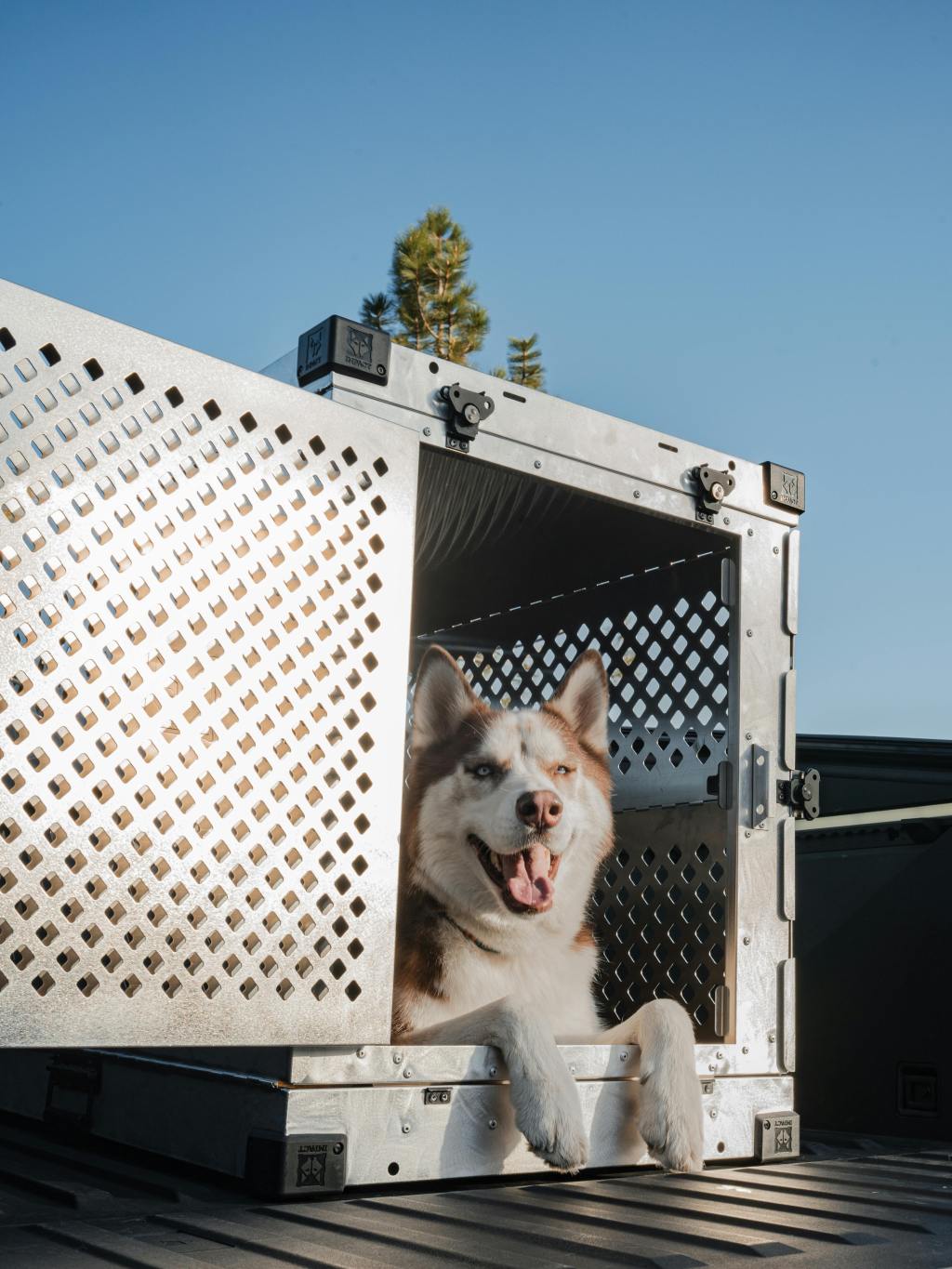 How Aluminum Crates Help With Aggression&nbsp;Management