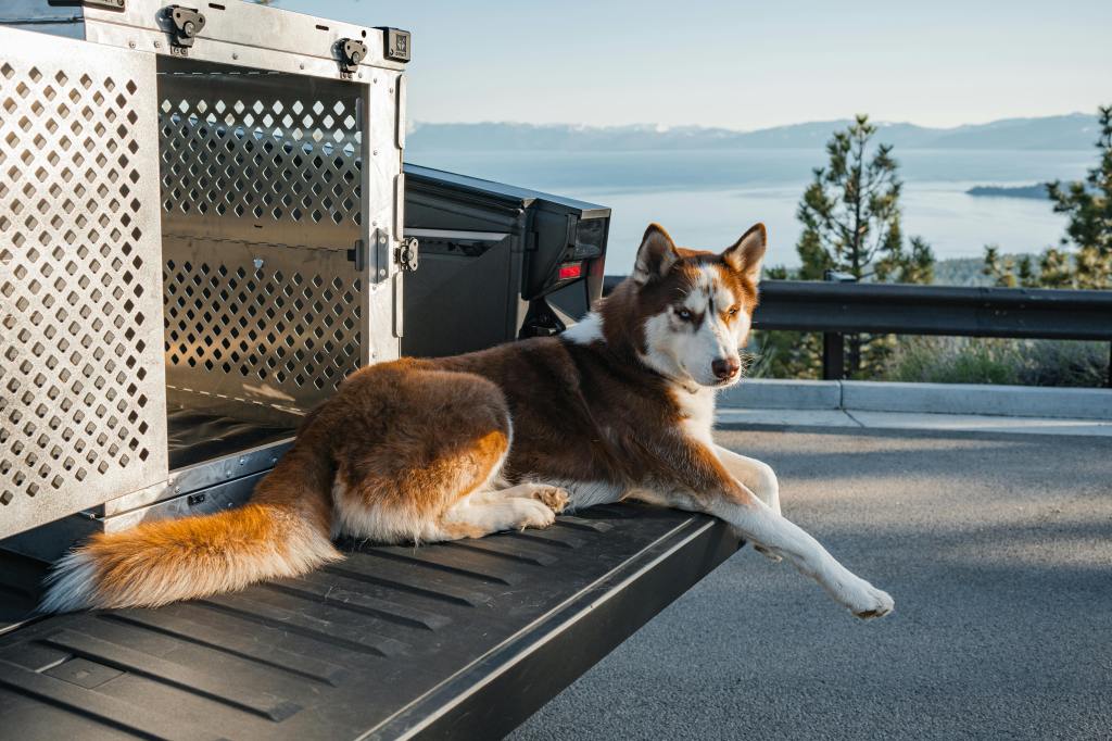 Comparing the Top-Selling Aluminum Dog Crates on the&nbsp;Market