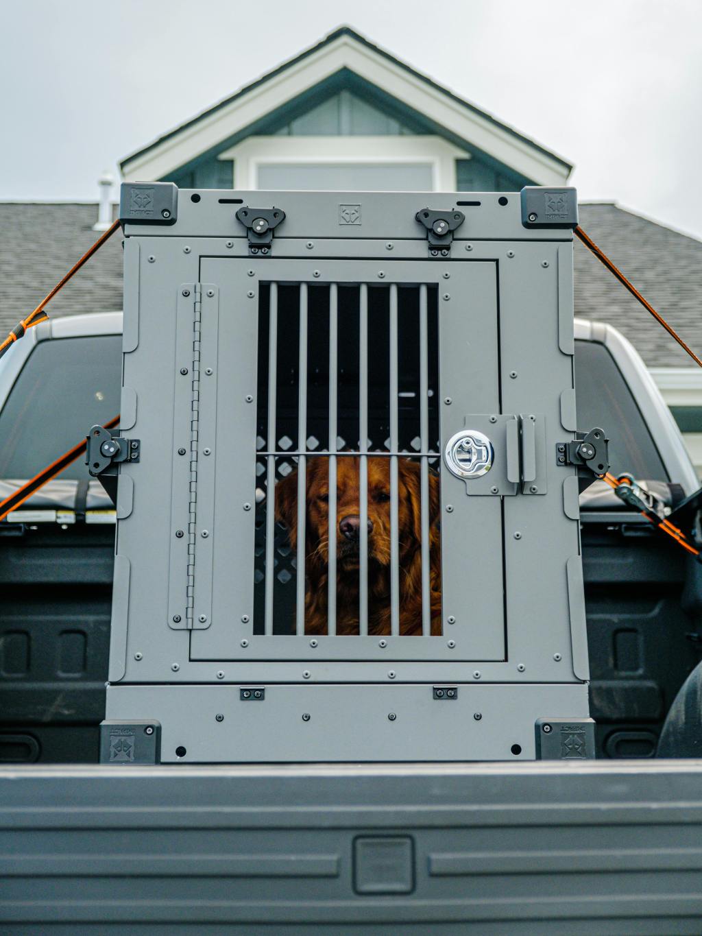 The Science Behind Aluminum Dog Crates: Strength, Durability &&nbsp;Comfort