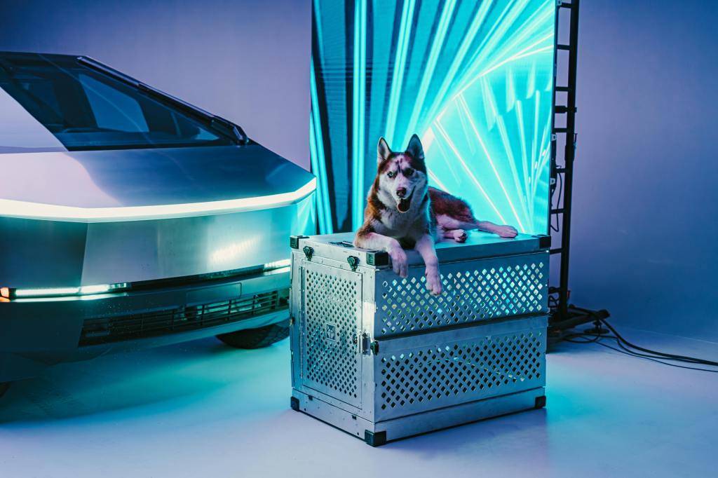 Aluminum Dog Crates vs. Wire Crates: Which One is&nbsp;Safer?