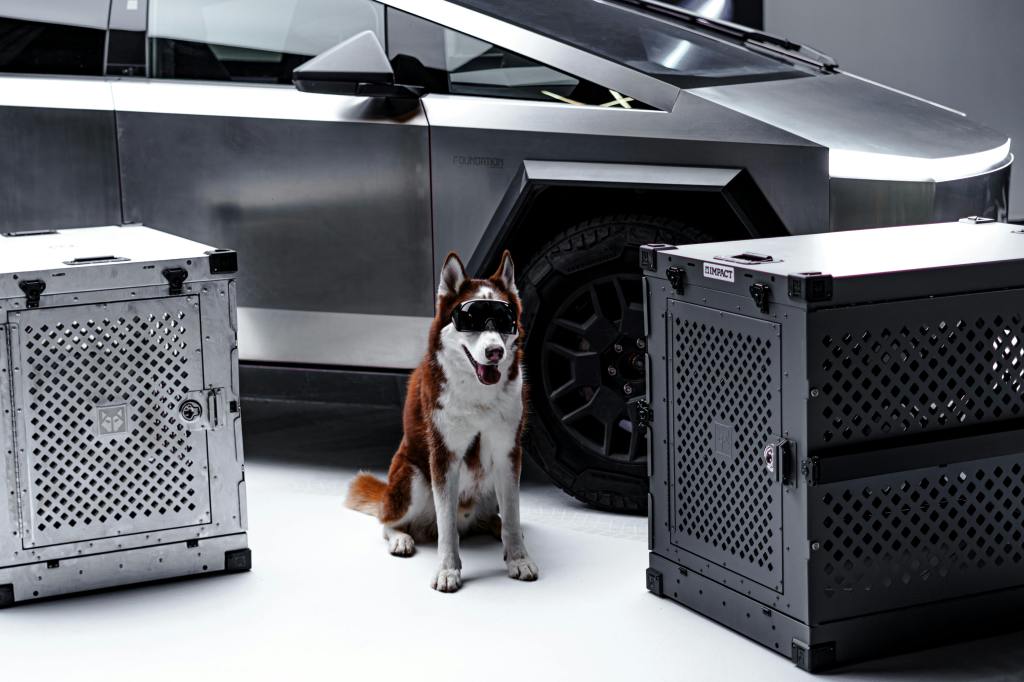 Why Aluminum Dog Crates Are Ideal for Active and Sport&nbsp;Dogs