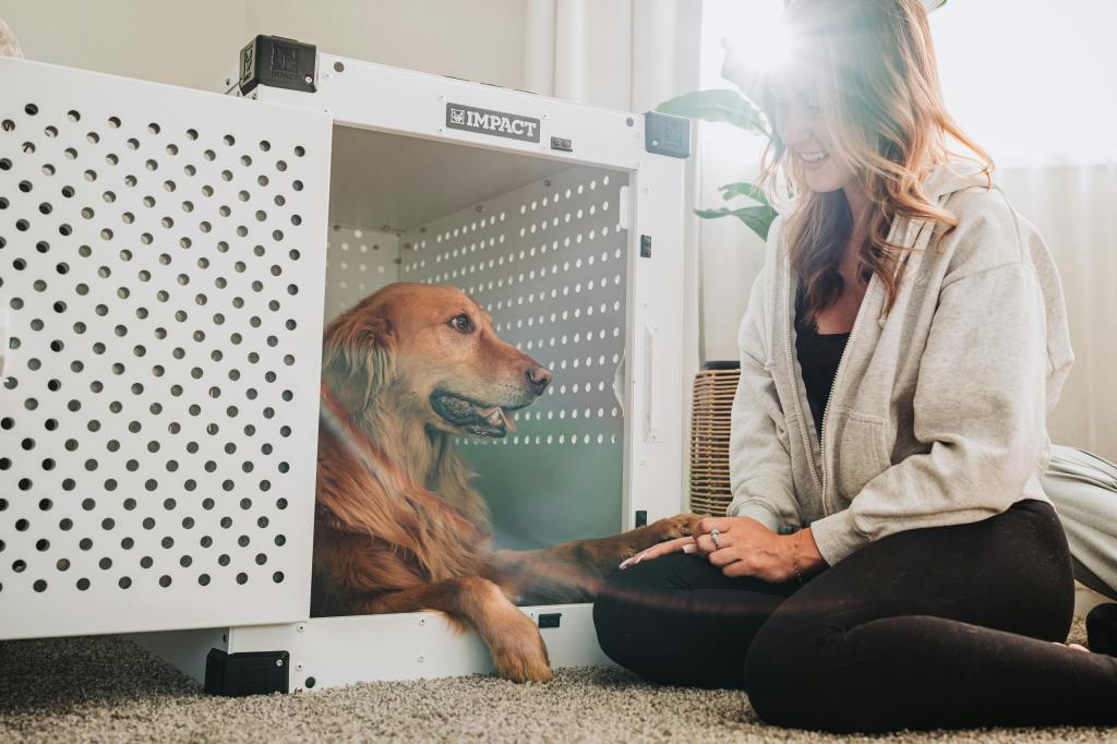 Why Crates Help Rescue Dogs Build Emotional&nbsp;Stability