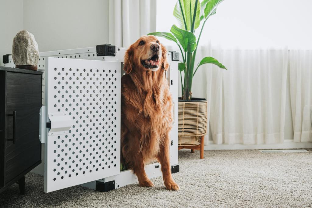 How Impact Dog Crates Create Predictable Comfort for Anxious&nbsp;Dogs