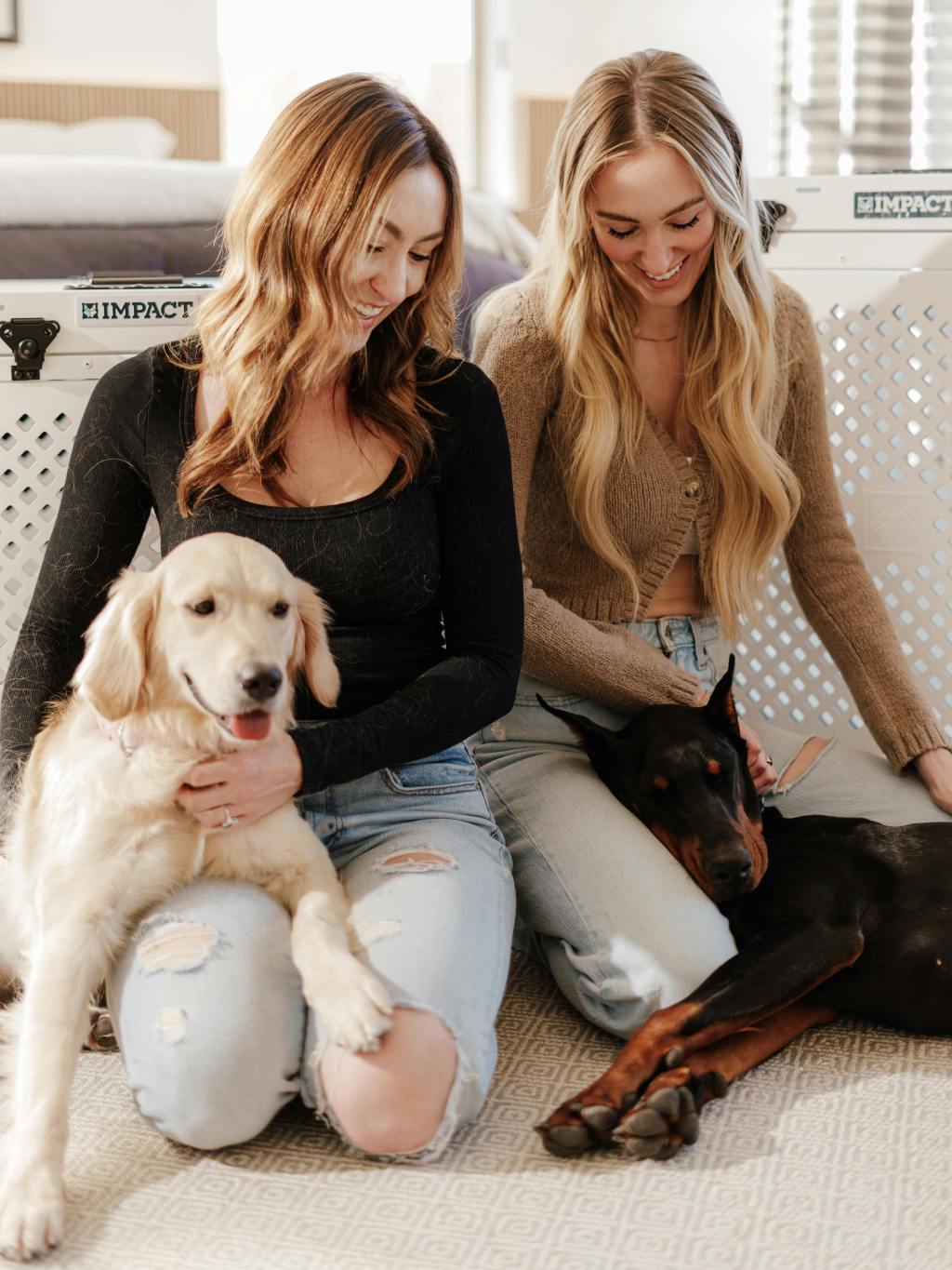 Crate Time and Cortisol: The Link Between Safe Spaces and Stress&nbsp;Relief