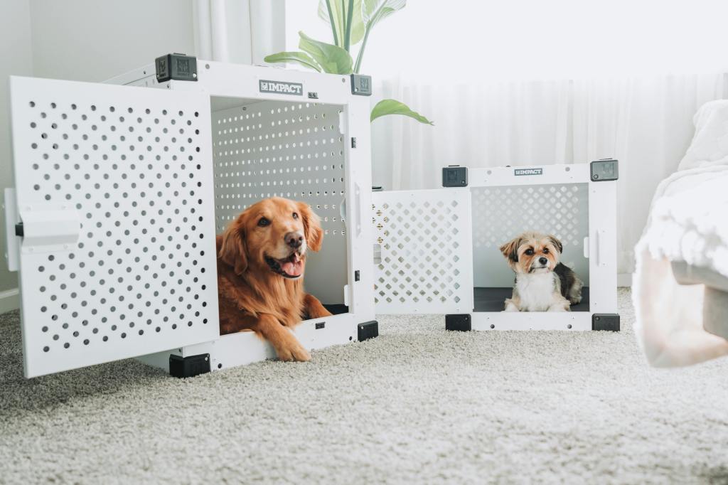 Are All Aluminum Dog Crates Created Equal? Here’s What to&nbsp;Know