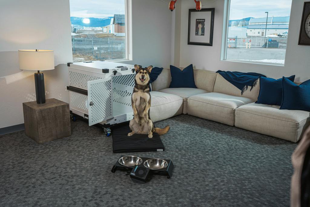 Which Aluminum Crates Work Best for Airline Cargo&nbsp;Travel?