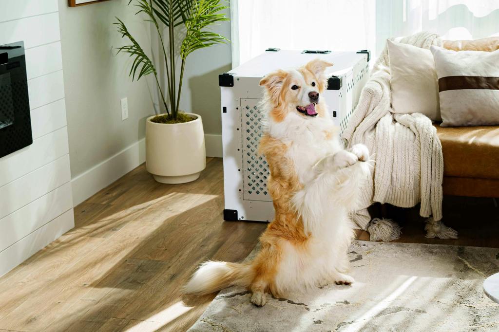 The Most Stylish Aluminum Dog Crates for Modern Dog&nbsp;Parents