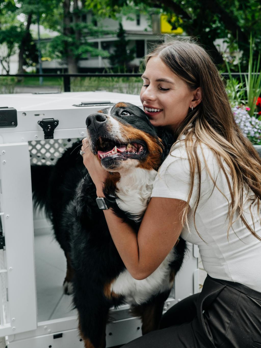 Why Aluminum Dog Crates Are Safer Than Crate&nbsp;Alternatives