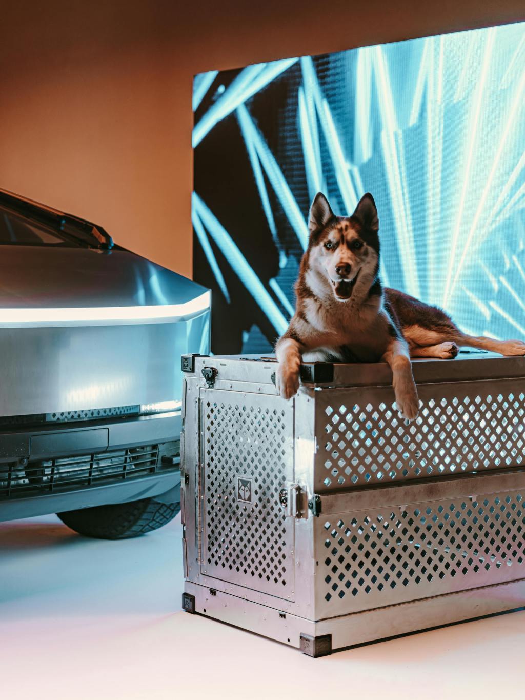 Is an Aluminum Crate Right for Your Breed? A Practical&nbsp;Guide