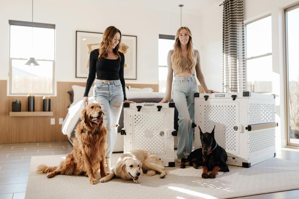 Are Aluminum Crates Too Much for Small Dogs? Not&nbsp;Anymore