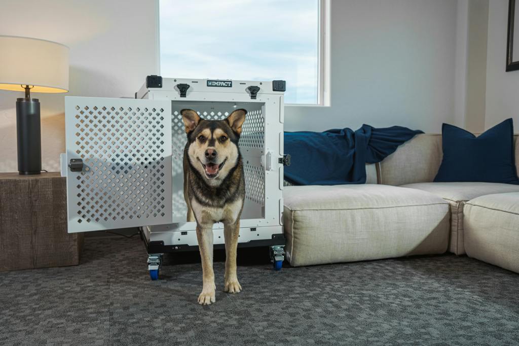 How Welds and Rivets Affect the Safety of Aluminum Dog&nbsp;Crates