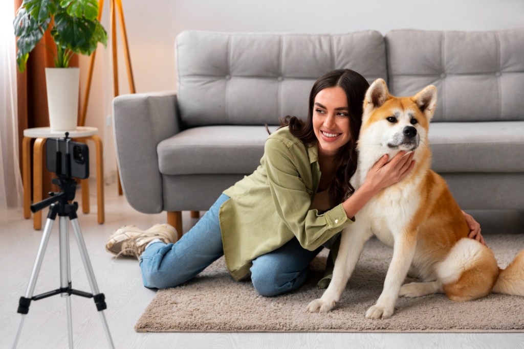 The Most Stylish Aluminum Dog Crates for Modern Dog&nbsp;Parents