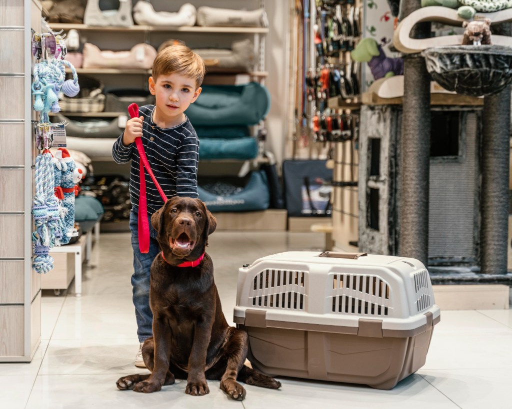 How Aluminum Dog Crates Stand Up to Weather, Travel and&nbsp;Time